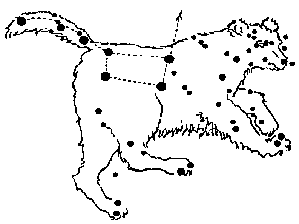 Drawing of a constellation of a bear.